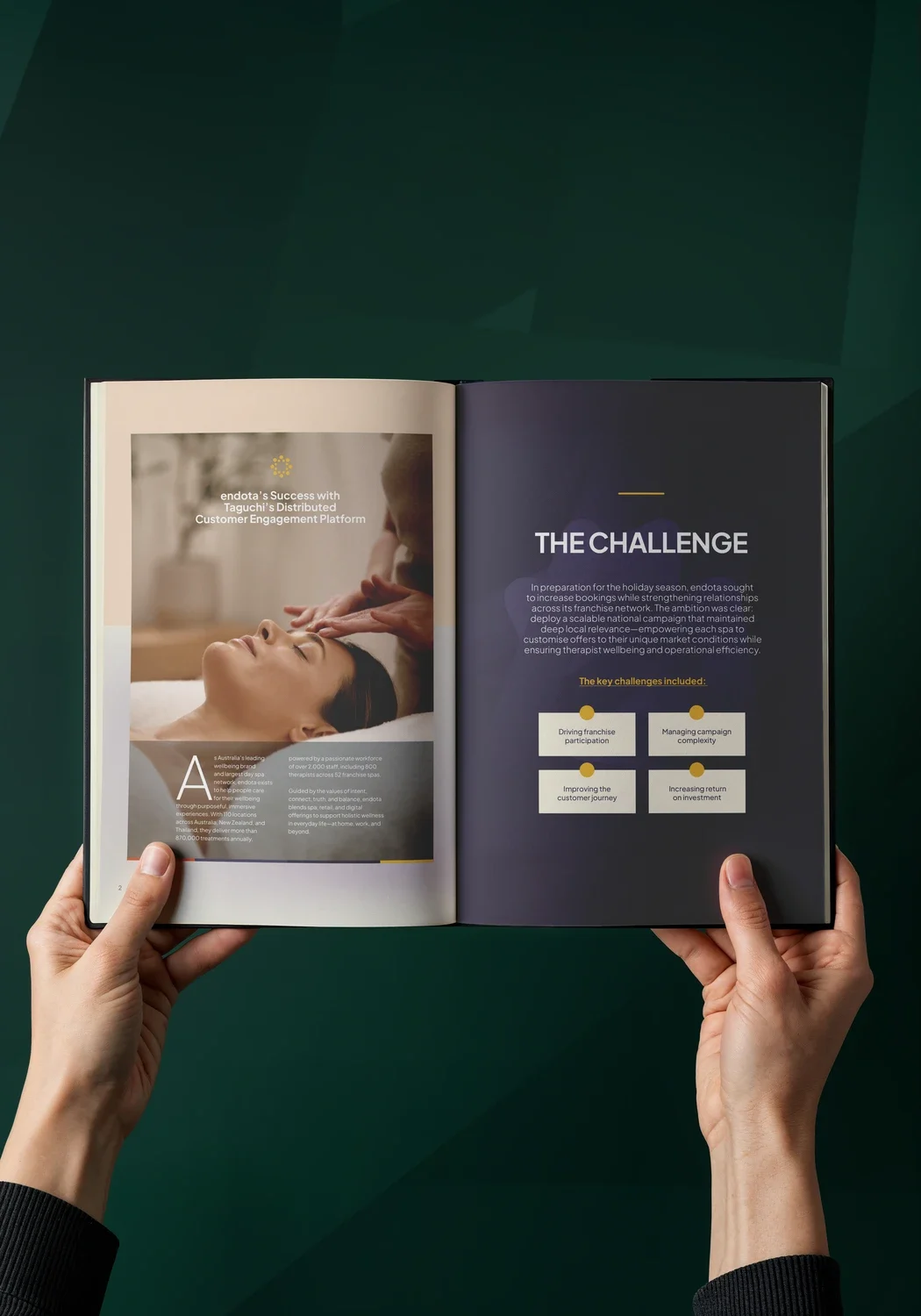 endota — the case study, inside and out, image 2 of 2